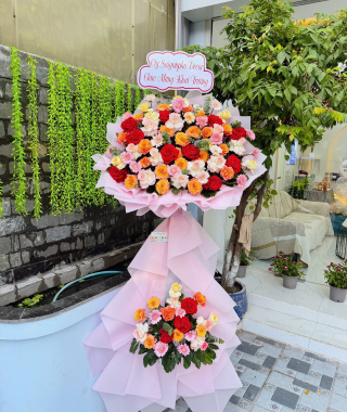 Hình ảnh khai trương CS2