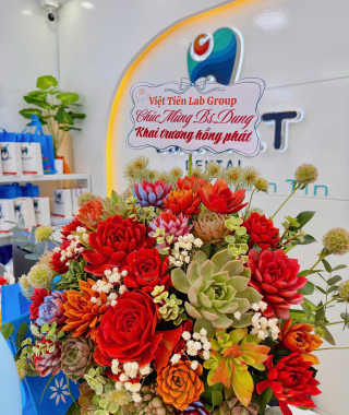 Hình ảnh khai trương CS2