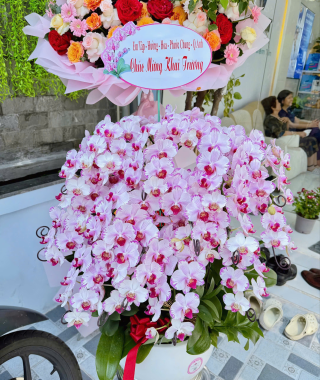 Hình ảnh khai trương CS2