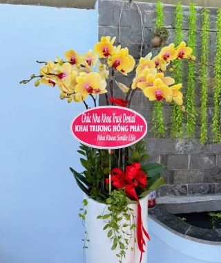 Hình ảnh khai trương CS2