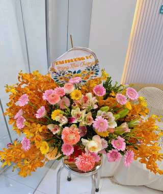 Hình ảnh khai trương CS2