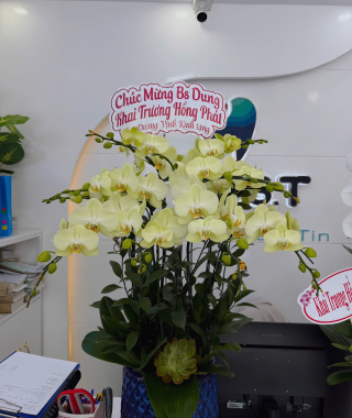 Hình ảnh khai trương CS2